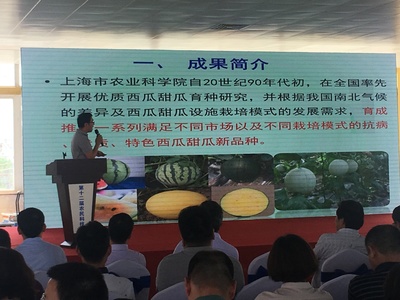 浦東第十二屆農民科技節開幕，初夏時節聚焦農業信息咨詢